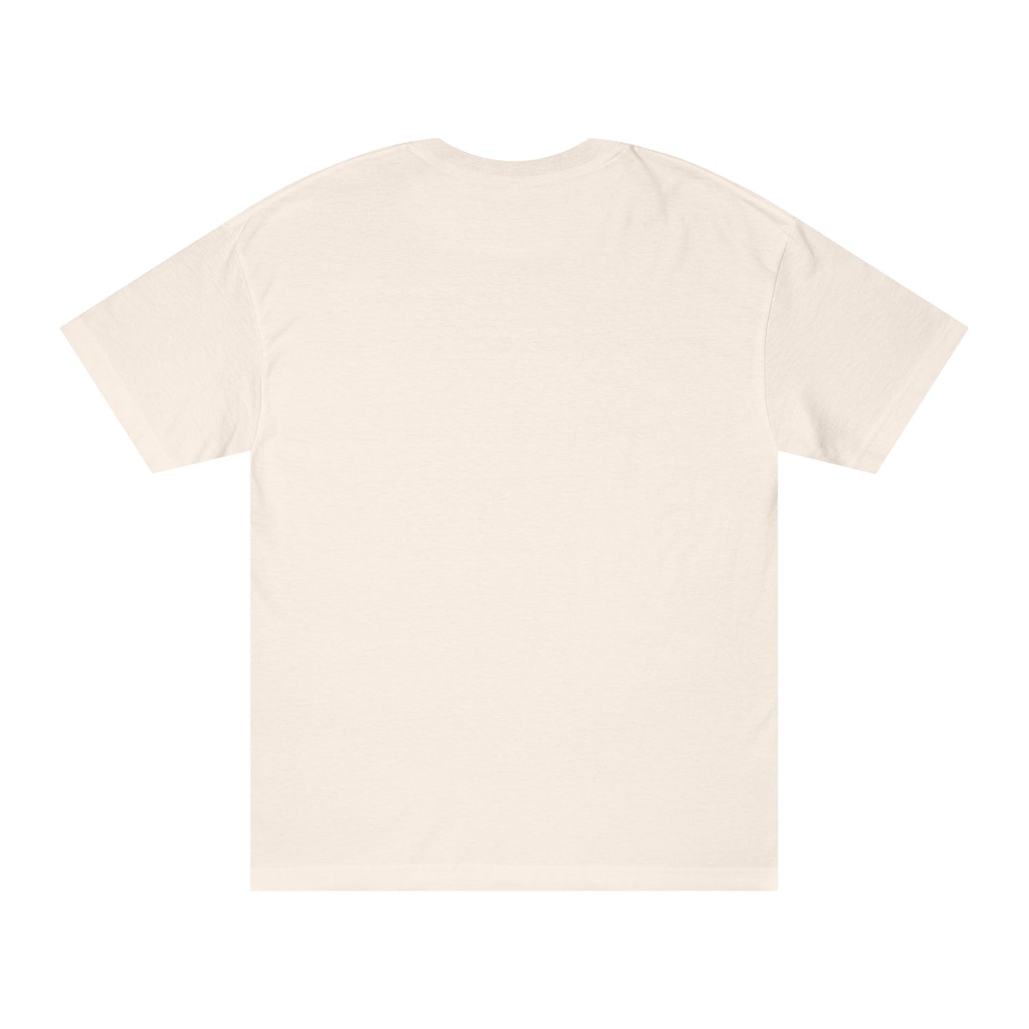 Unisex Classic Christian Tee "Divine"